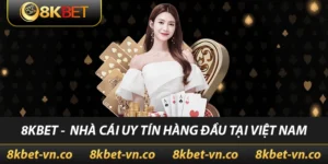 8kbet nhà cái uy tín hàng đầu